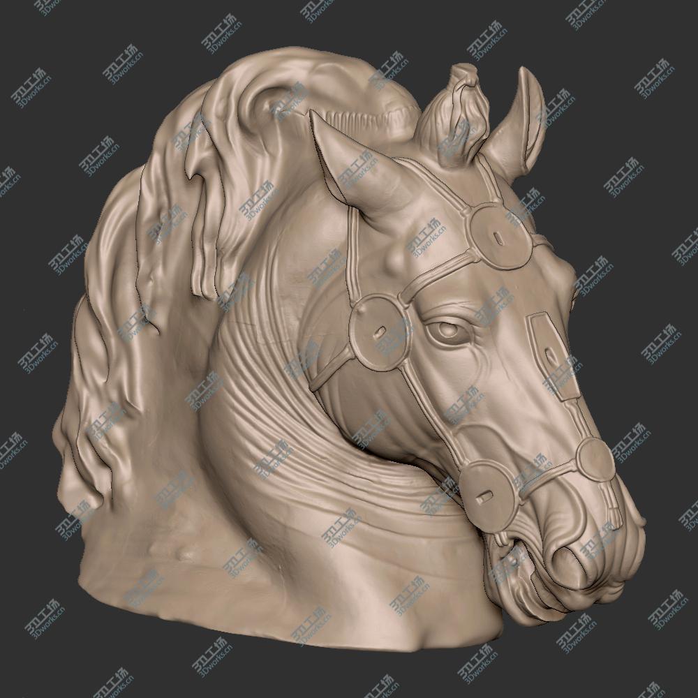 images/goods_img/20210225/Horse Head/5.jpg